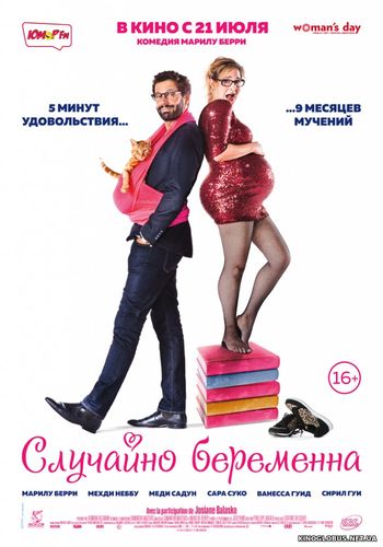 Случайно беременна (2016)